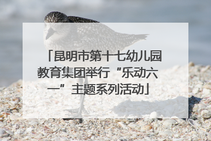 昆明市第十七幼儿园教育集团举行“乐动六一”主题系列活动