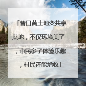 昔日黄土地变共享菜地，不仅环境美了，市民多了体验乐趣，村民还能增收