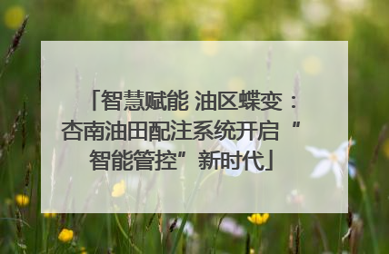 智慧赋能 油区蝶变：杏南油田配注系统开启“智能管控”新时代