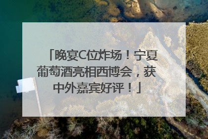 晚宴C位炸场！宁夏葡萄酒亮相西博会，获中外嘉宾好评！