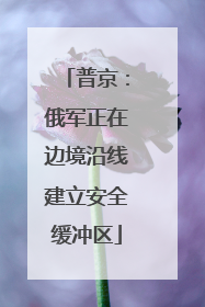普京：俄军正在边境沿线建立安全缓冲区