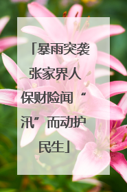 暴雨突袭 张家界人保财险闻“汛”而动护民生