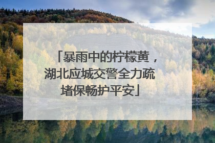 暴雨中的柠檬黄，湖北应城交警全力疏堵保畅护平安