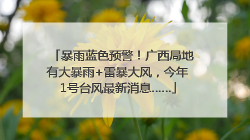 暴雨蓝色预警！广西局地有大暴雨+雷暴大风，今年1号台风最新消息……