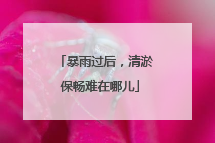 暴雨过后，清淤保畅难在哪儿