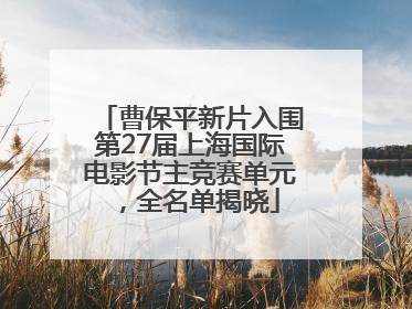 曹保平新片入围第27届上海国际电影节主竞赛单元，全名单揭晓