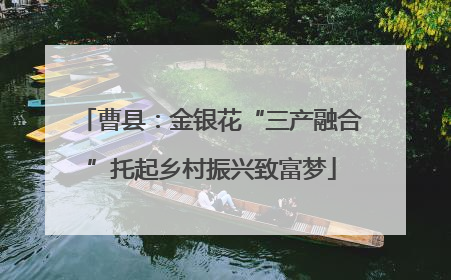 曹县：金银花“三产融合”托起乡村振兴致富梦