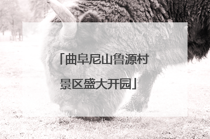 曲阜尼山鲁源村景区盛大开园