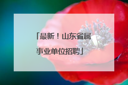 最新！山东省属事业单位招聘