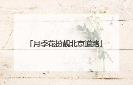 月季花扮靓北京道路
