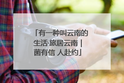 有一种叫云南的生活·旅居云南｜菌有信 人赴约