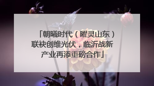 朝曦时代（曜灵山东）联袂创维光伏，临沂战新产业再添重磅合作