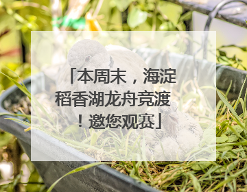 本周末，海淀稻香湖龙舟竞渡！邀您观赛