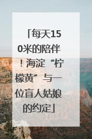 每天150米的陪伴！海淀“柠檬黄”与一位盲人姑娘的约定