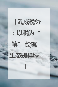 武威税务：以税为“笔” 绘就生态别样绿