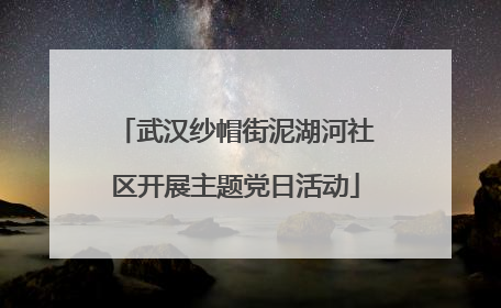 武汉纱帽街泥湖河社区开展主题党日活动