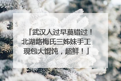 武汉人过早莫错过！北湖路梅氏三姊妹手工现包大馄饨，超鲜！