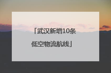 武汉新增10条低空物流航线