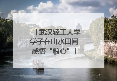 武汉轻工大学学子在山水田间感悟“粮心”