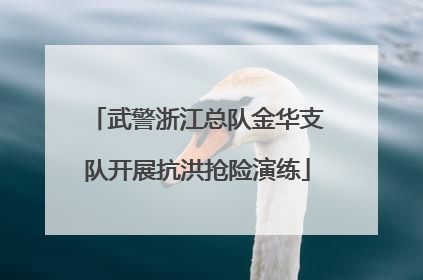 武警浙江总队金华支队开展抗洪抢险演练