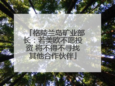 格陵兰岛矿业部长：若美欧不愿投资 将不得不寻找其他合作伙伴
