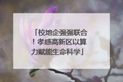 校地企强强联合！孝感高新区以算力赋能生命科学