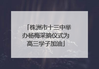 株洲市十三中举办杨梅采摘仪式为高三学子加油