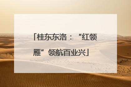 桂东东洛：“红领雁”领航百业兴