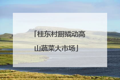 桂东村厨撬动高山蔬菜大市场