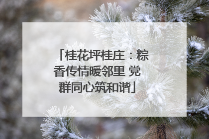 桂花坪桂庄：粽香传情暖邻里 党群同心筑和谐