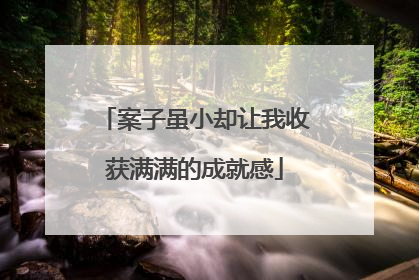 案子虽小却让我收获满满的成就感