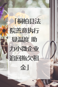 桐柏县法院善意执行显温度 助力小微企业追回拖欠租金