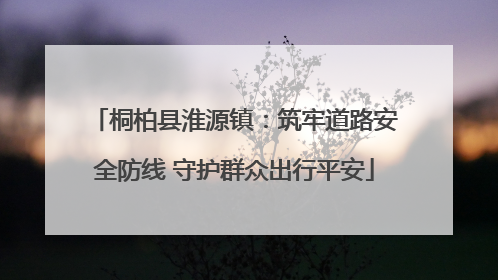 桐柏县淮源镇：筑牢道路安全防线 守护群众出行平安