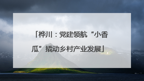 桦川：党建领航“小香瓜”撬动乡村产业发展