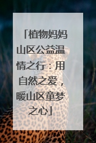 植物妈妈山区公益温情之行：用自然之爱，暖山区童梦之心