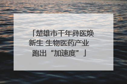 楚雄市千年彝医焕新生 生物医药产业跑出“加速度”