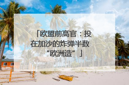 欧盟前高官：投在加沙的炸弹半数“欧洲造”