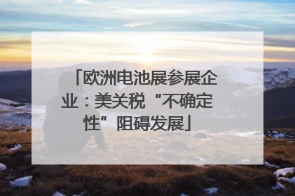 欧洲电池展参展企业：美关税“不确定性”阻碍发展