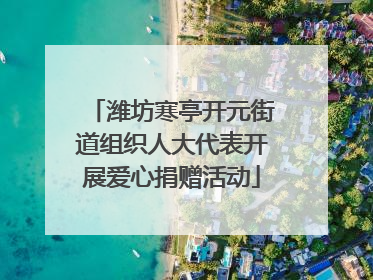 潍坊寒亭开元街道组织人大代表开展爱心捐赠活动