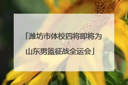 潍坊市体校四将即将为山东男篮征战全运会