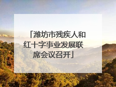 潍坊市残疾人和红十字事业发展联席会议召开