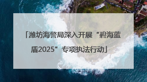 潍坊海警局深入开展“碧海蓝盾2025”专项执法行动