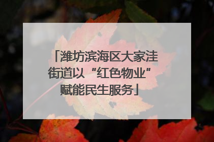 潍坊滨海区大家洼街道以“红色物业”赋能民生服务