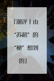 潮评丨由“苏超”的“梗”想到的