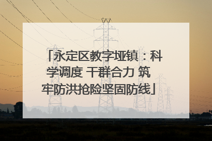 永定区教字垭镇：科学调度 干群合力 筑牢防洪抢险坚固防线