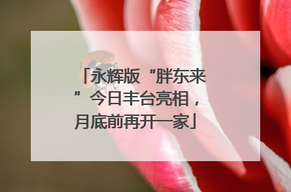 永辉版“胖东来”今日丰台亮相，月底前再开一家