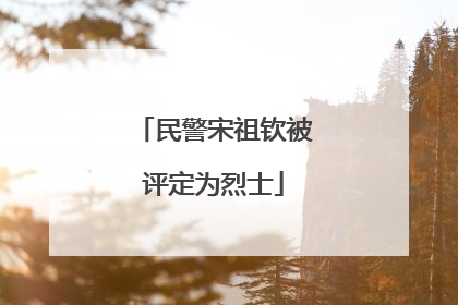 民警宋祖钦被评定为烈士