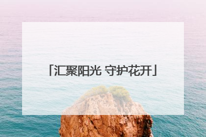汇聚阳光 守护花开