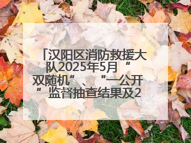 汉阳区消防救援大队2025年5月“双随机”、“一公开”监督抽查结果及2025年6月监督抽查任务公示