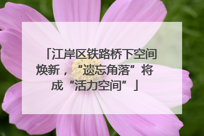 江岸区铁路桥下空间焕新，“遗忘角落”将成“活力空间”